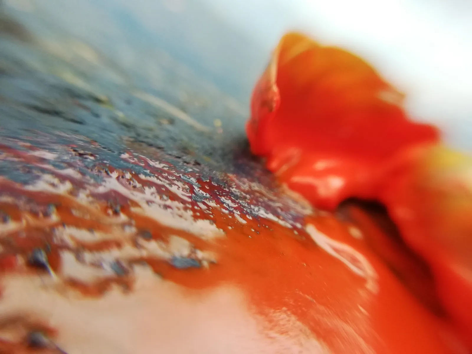 Flor naranja desenfocada: fotografía artística de composición de color y textura, serie Color y forma, por Robert Díaz