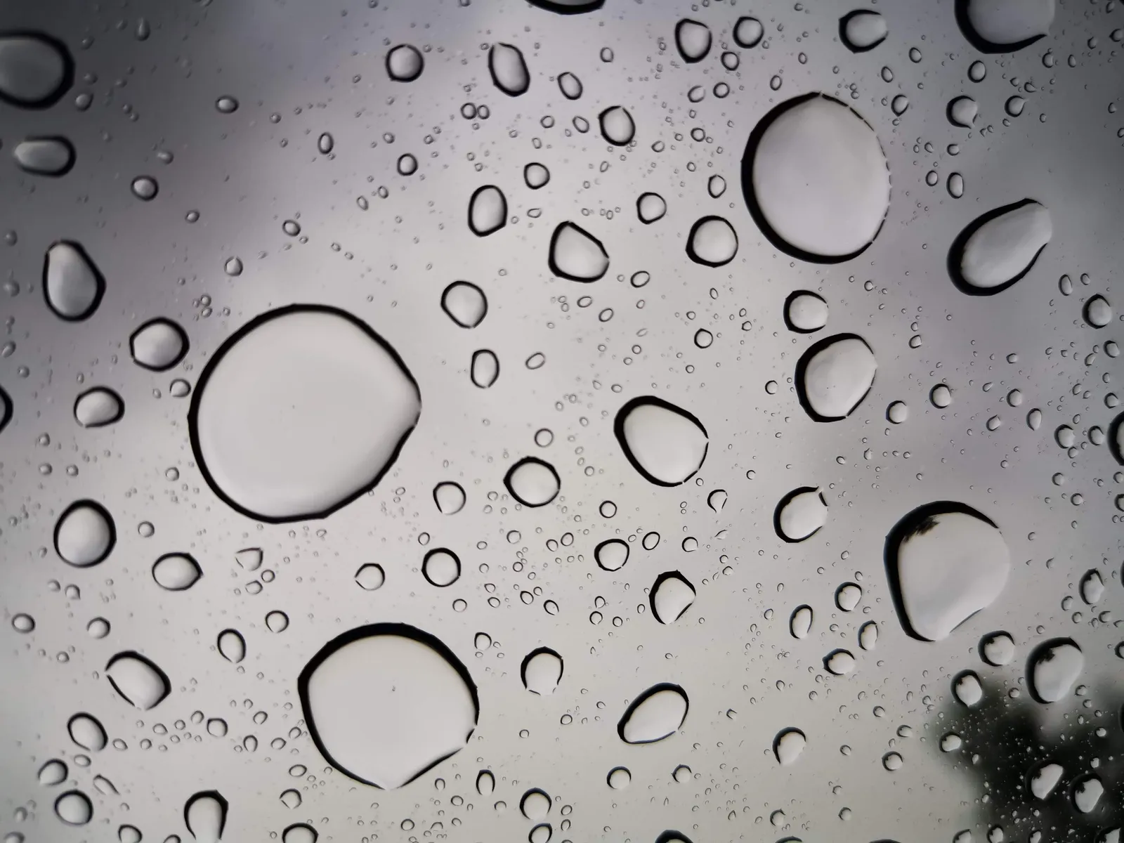 Gotas sobre cristal II: fotografía artística de gotas de agua en primer plano, serie Gotas, por Robert Díaz