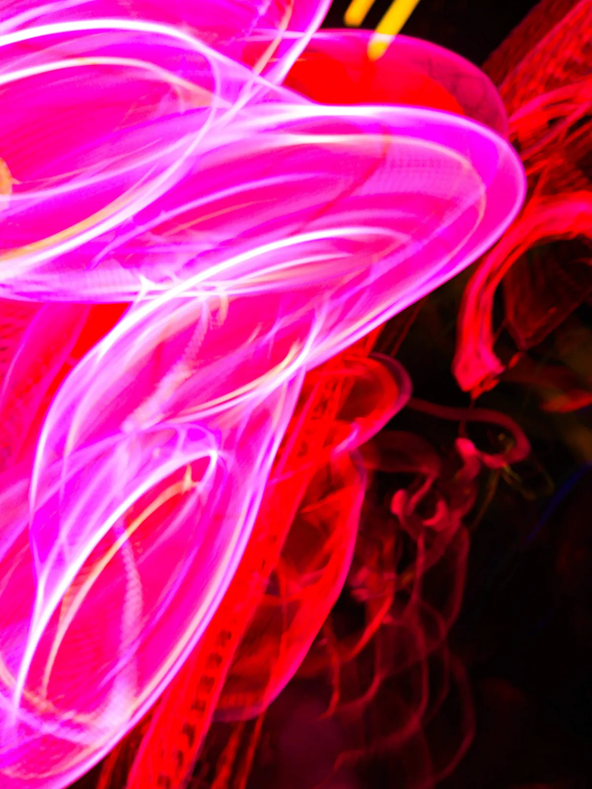 Lazo magenta: fotografía abstracta de luz en movimiento en tonos magenta y rojo sobre fondo oscuro, serie Luz en movimiento, por Robert Díaz